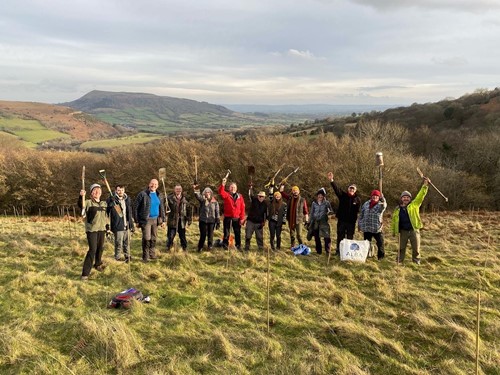 Planting team at Blaenawy